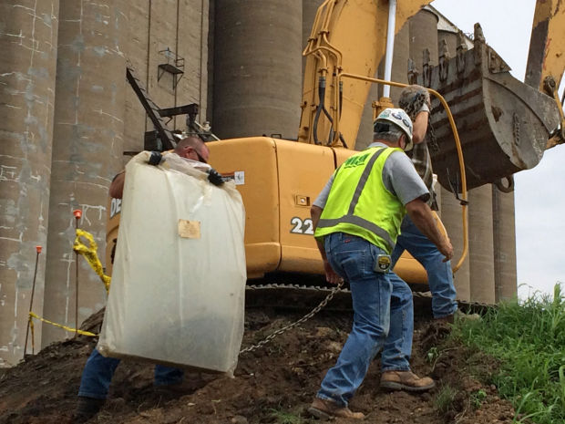 Bones found at Ikea construction site